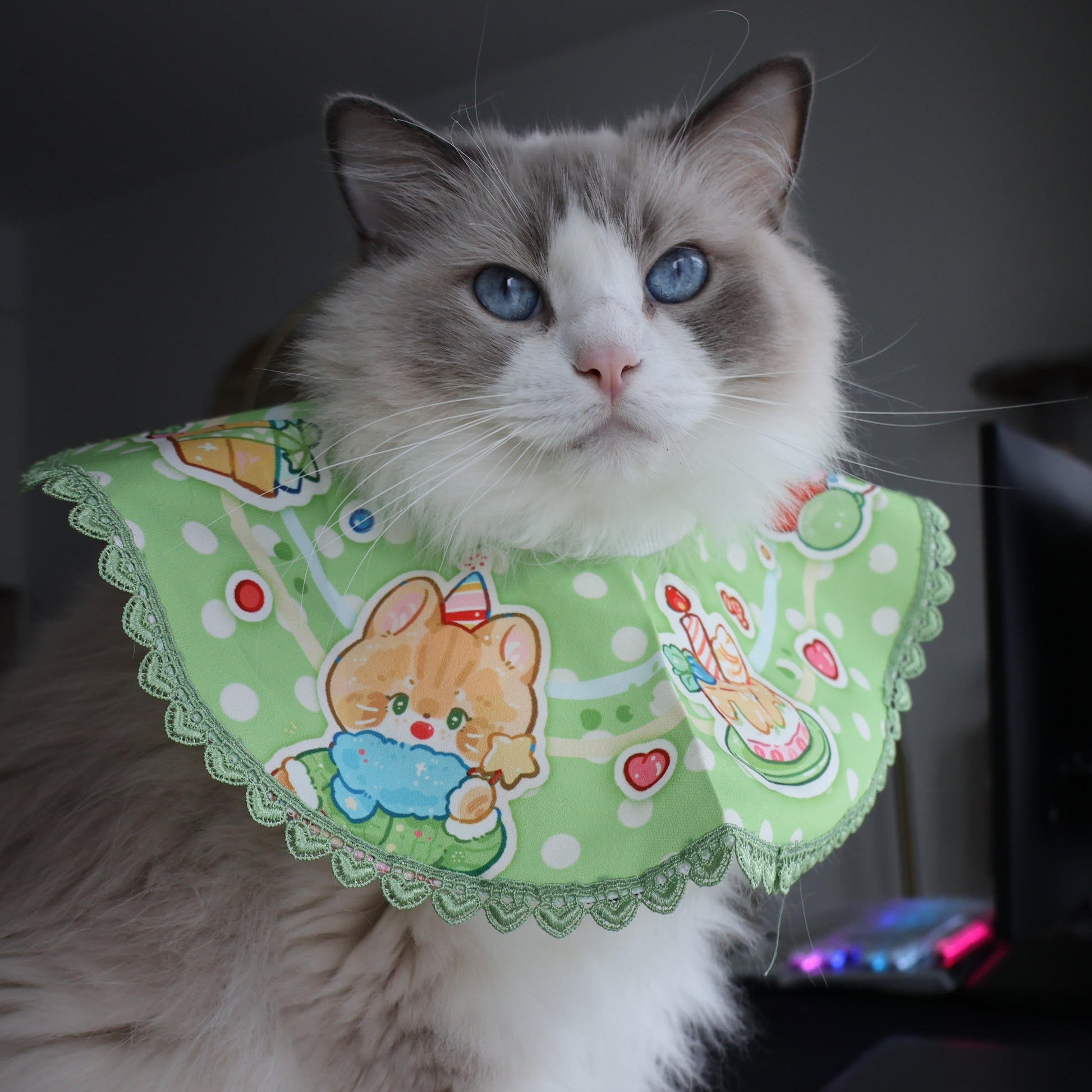 Our model mochi is wearing size L birthday collection pet bib/pet clothing in green. For reference, she weighs 13 lbs.