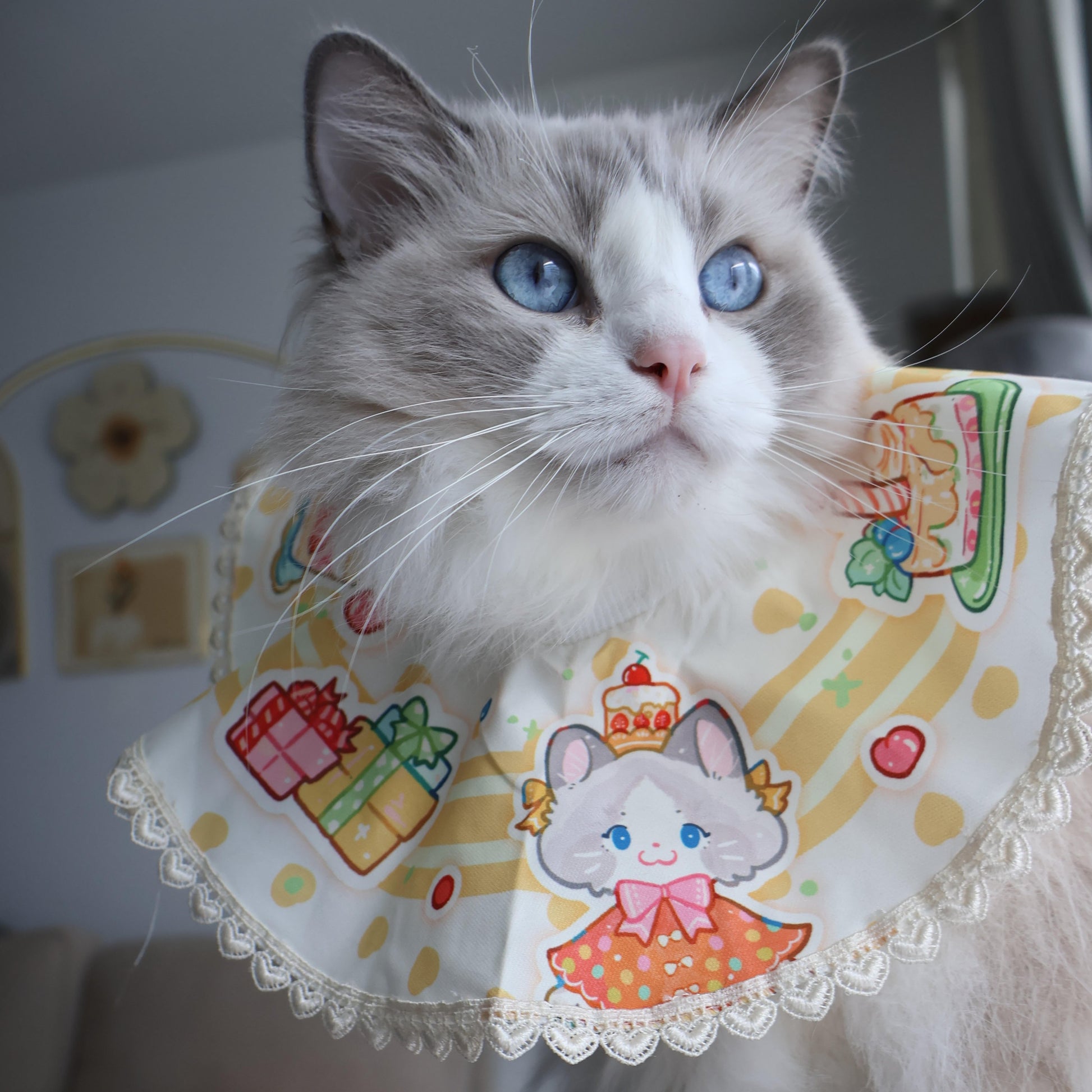 Our model mochi is wearing size L birthday collection pet bib/pet clothing in yellow. For reference, she weighs 13 lbs.