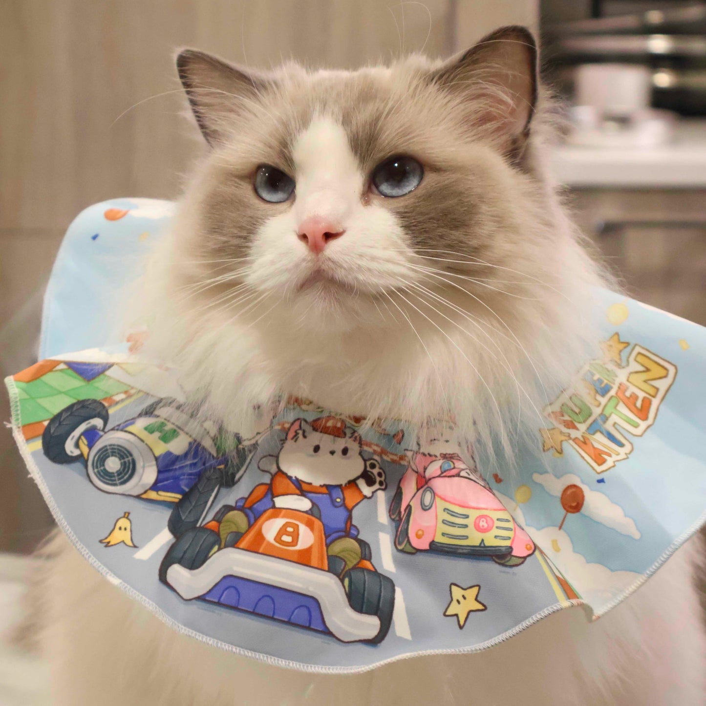 Our model is wearing race cart style pet bib.