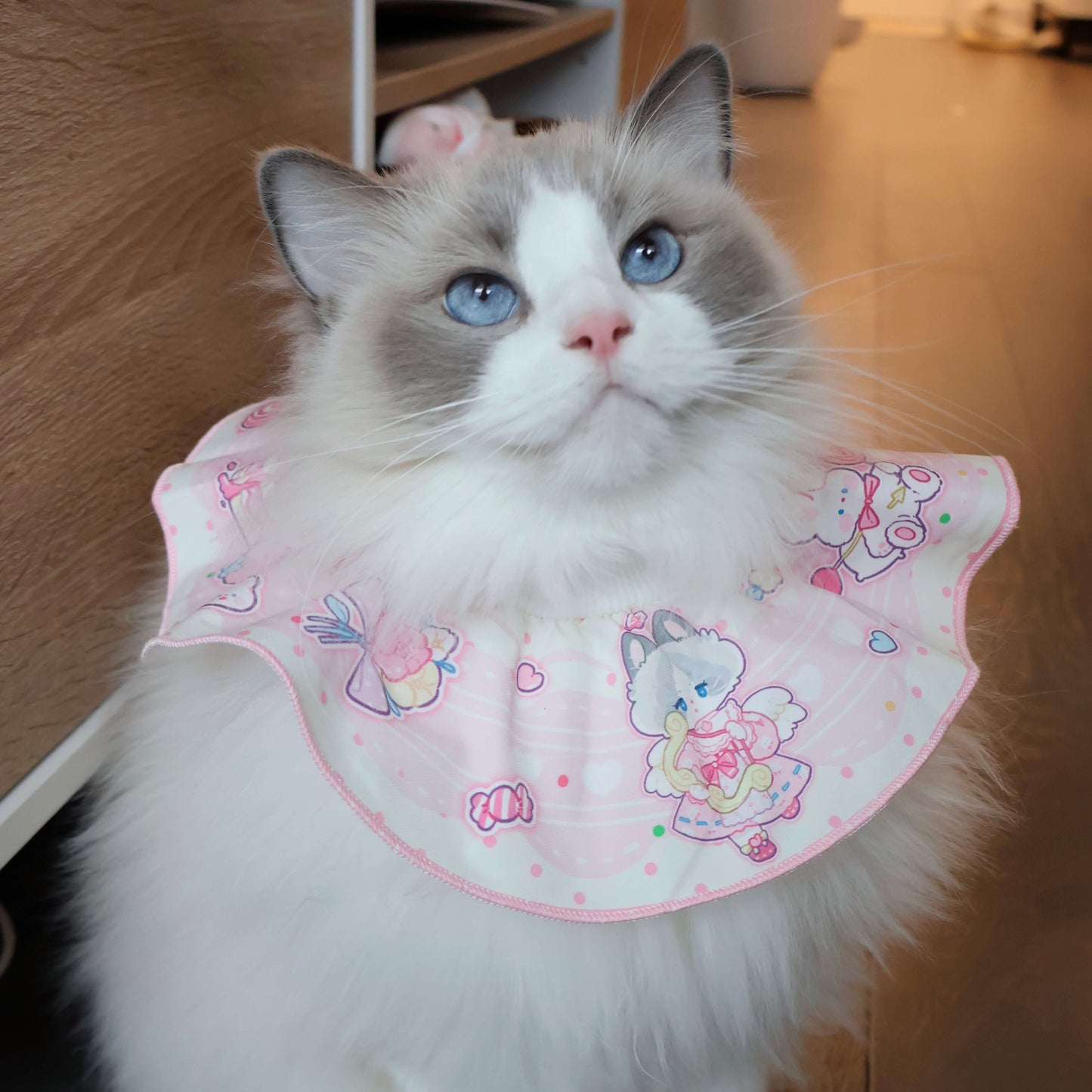 Our adorable model is showcasing the Valentine's pet bib in a charming pink, sized large. For reference, she weighs 13 lbs.