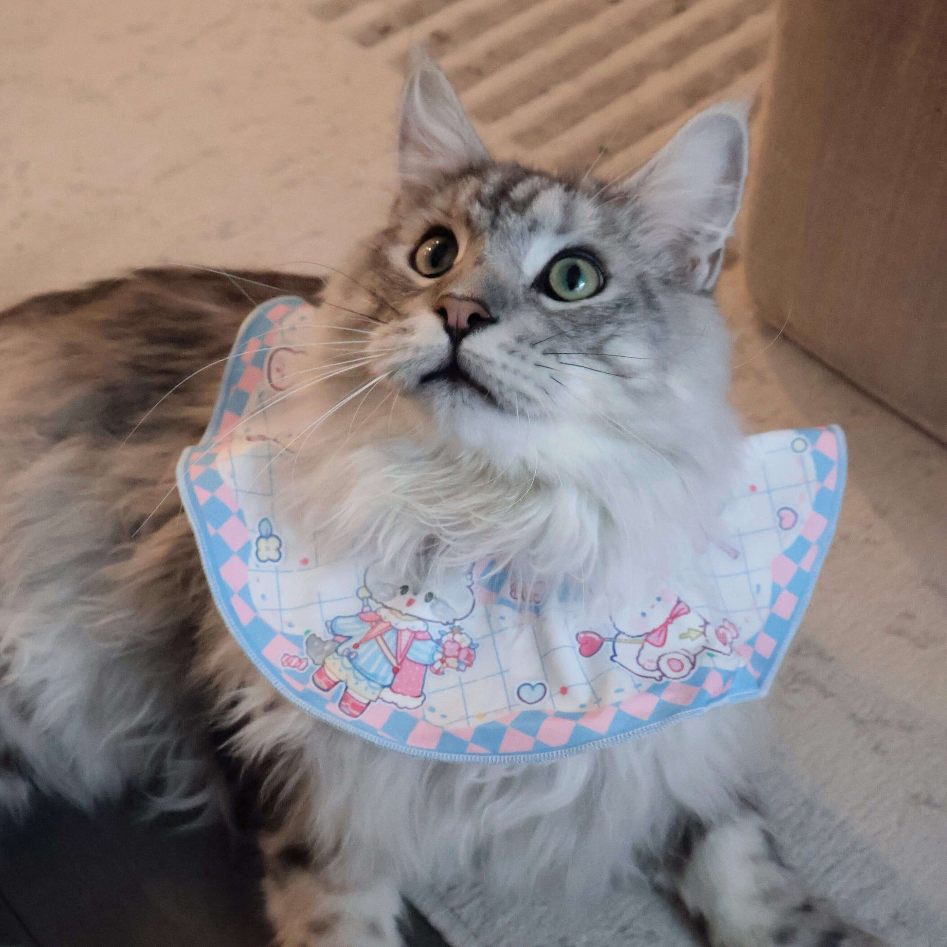 Our adorable model is showcasing the Valentines pet bib in a charming blue, sized large. For reference, he weighs 16 lbs.