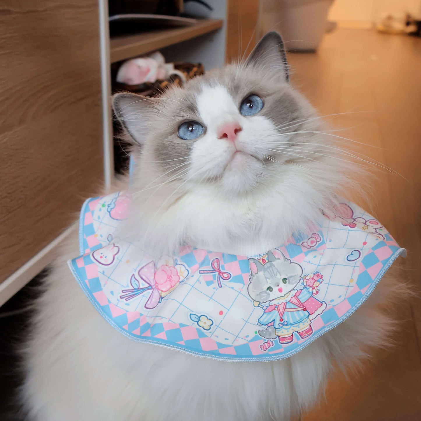 Our adorable model is showcasing the Valentines pet bib in a charming blue, sized large. For reference, she weighs 13 lbs.